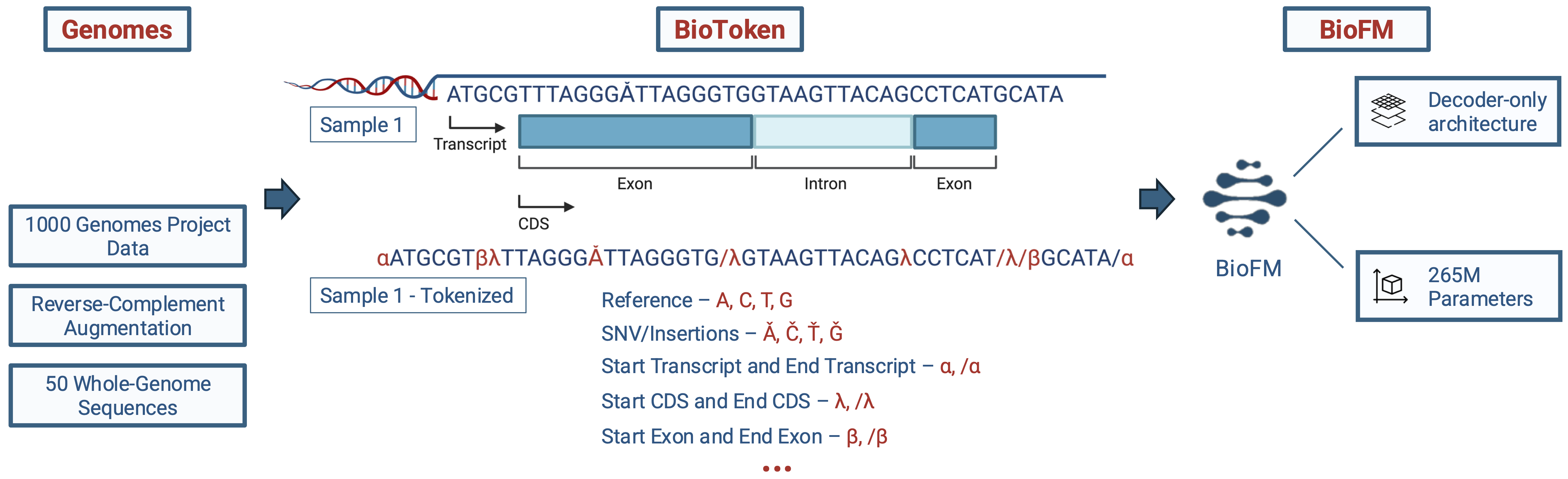 BioFM