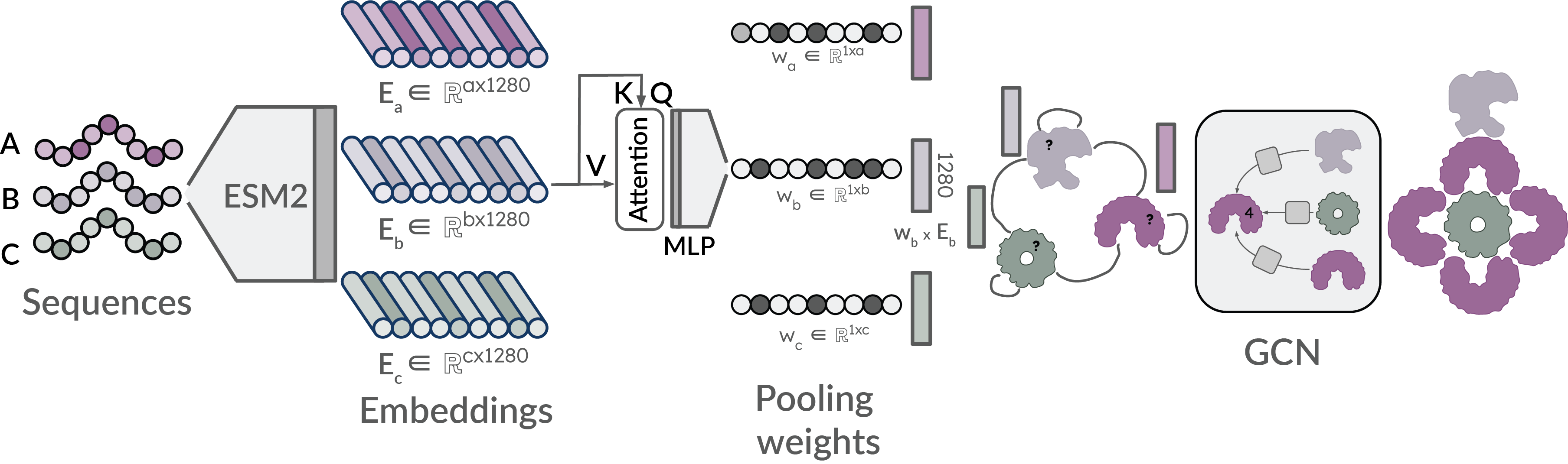 Model Architecture