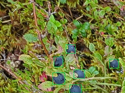 Example