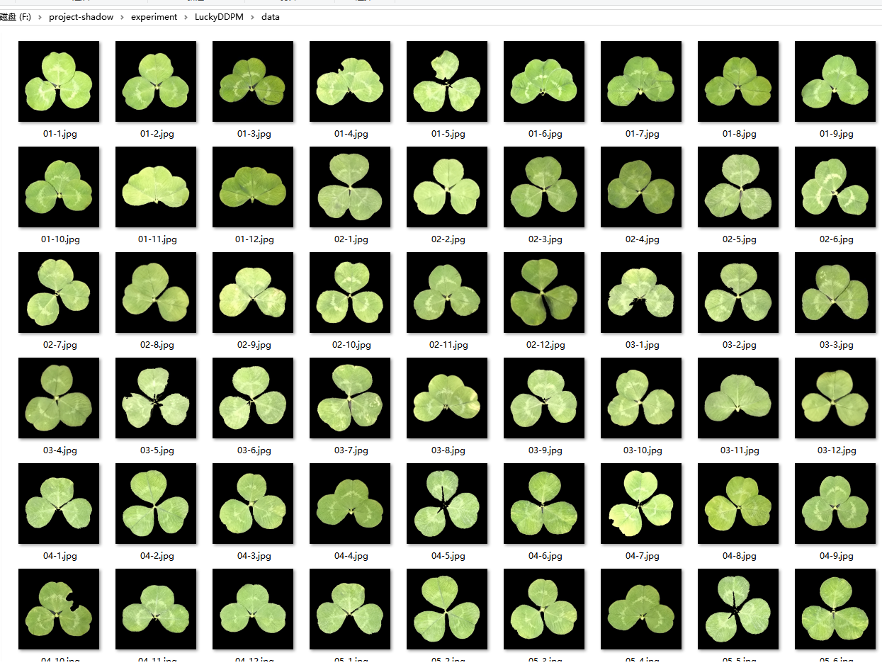 image-20260221121616613