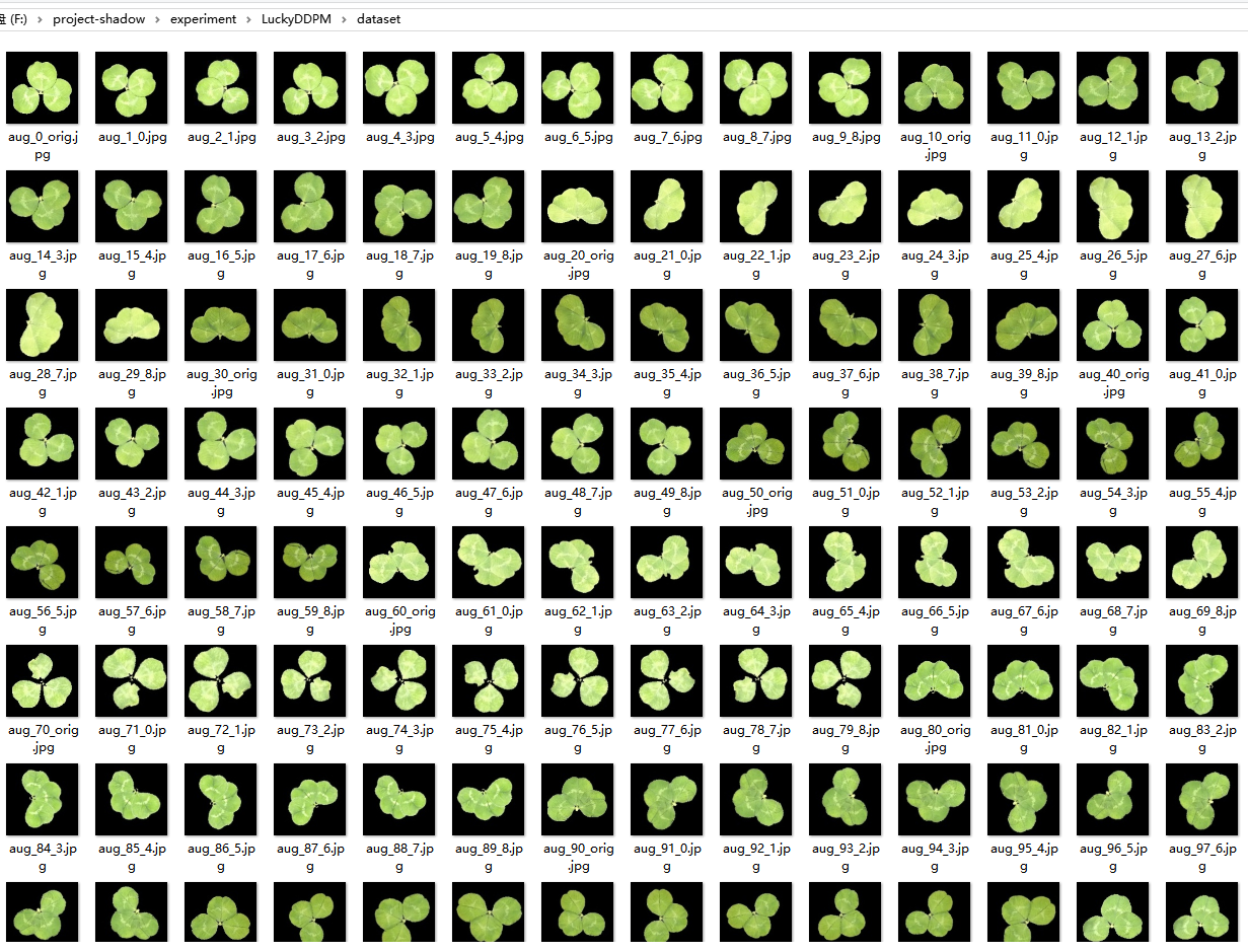 image-20260221121643521