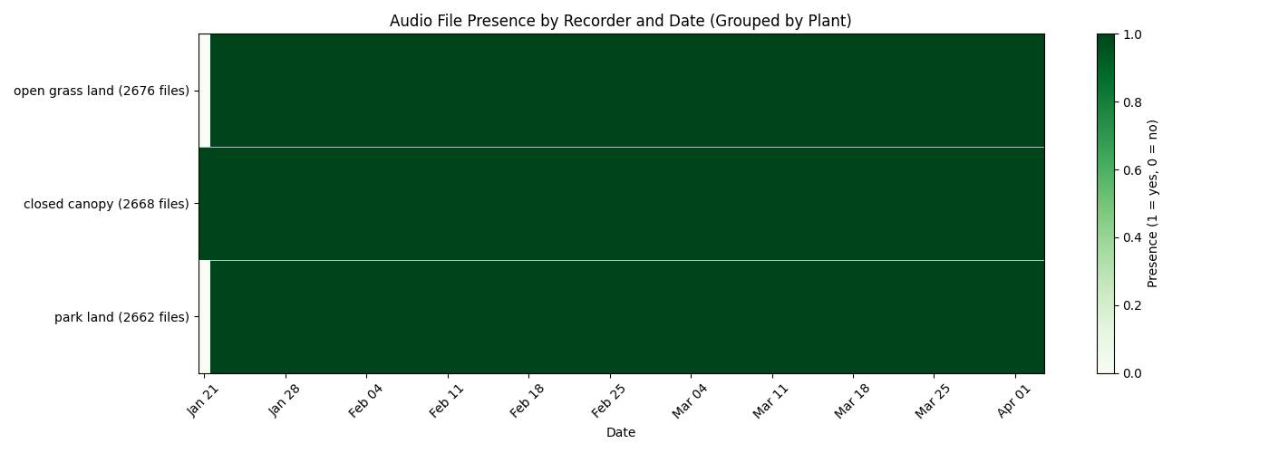 Koa Audio Presence