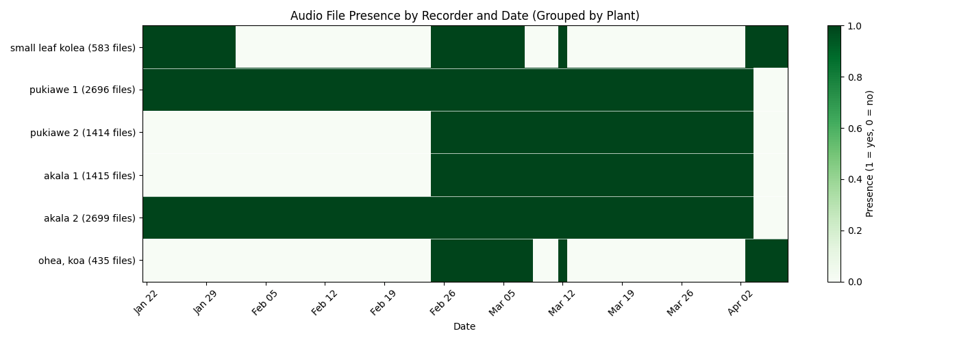 Phenology Audio Presence