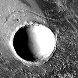 02-1-004121_2x.jpg