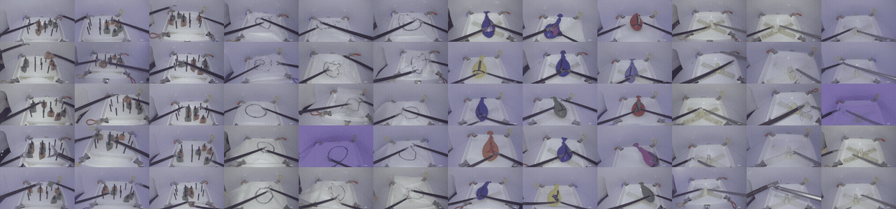 LASANA Banner