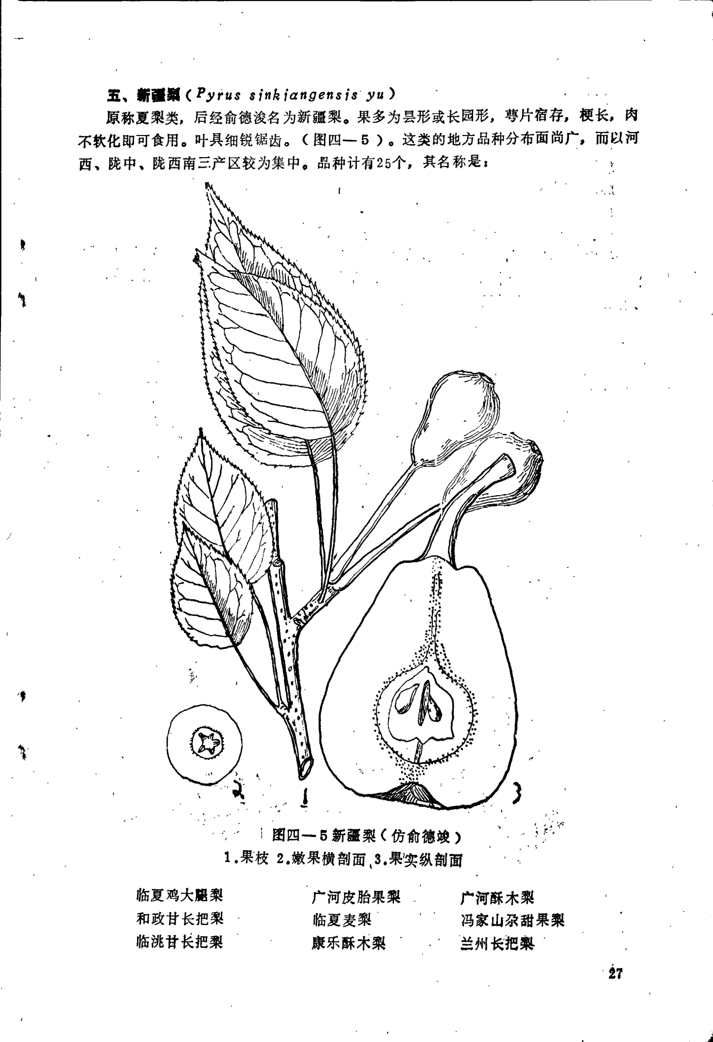 page_027.png