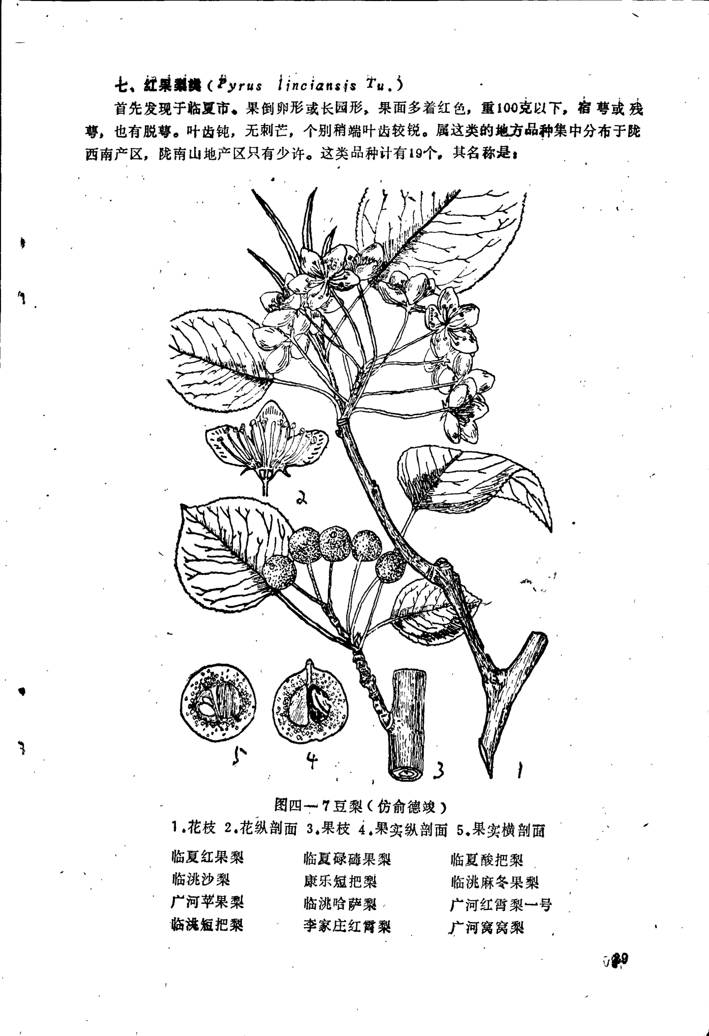 page_029.png