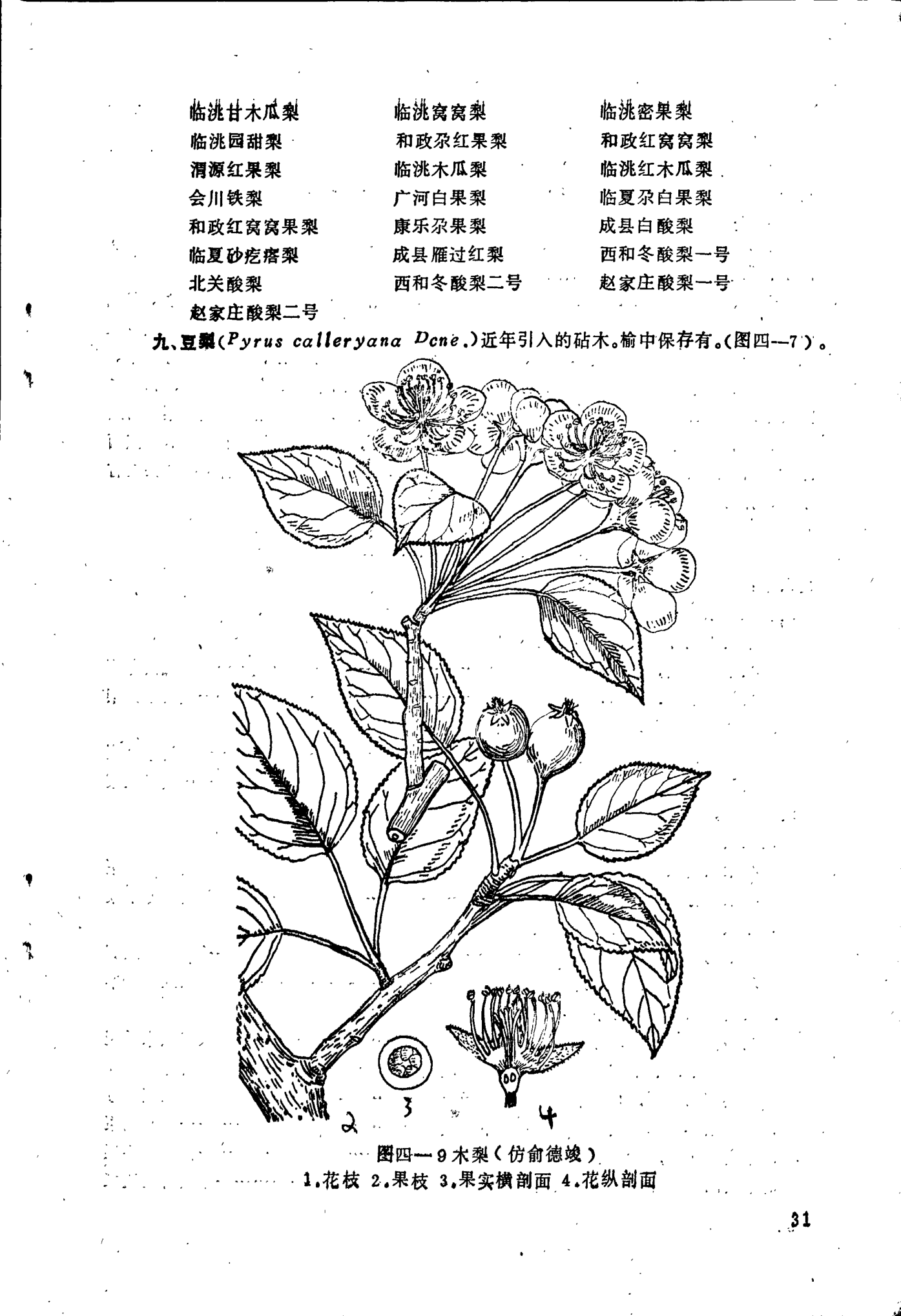 page_031.png
