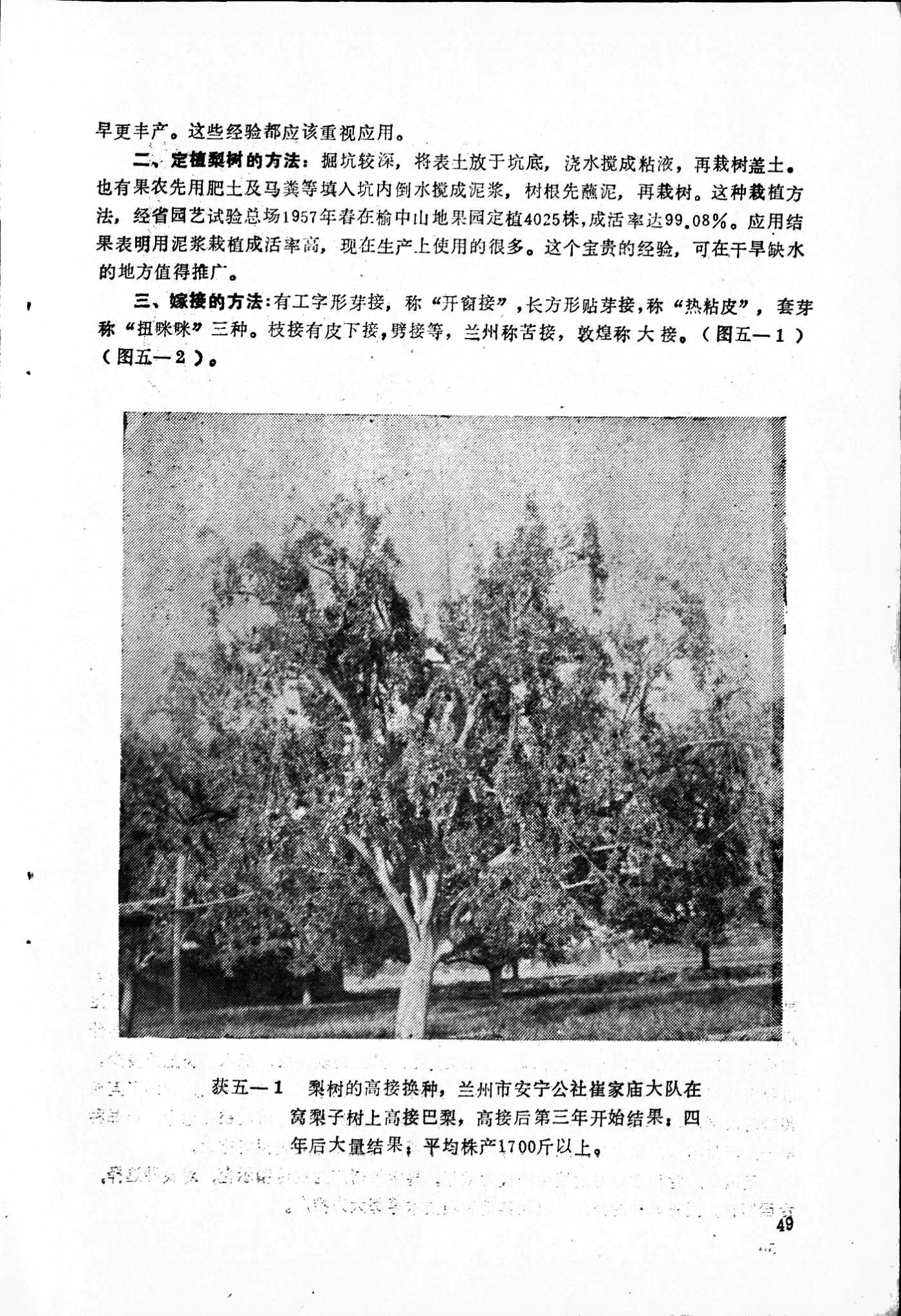 page_049.png
