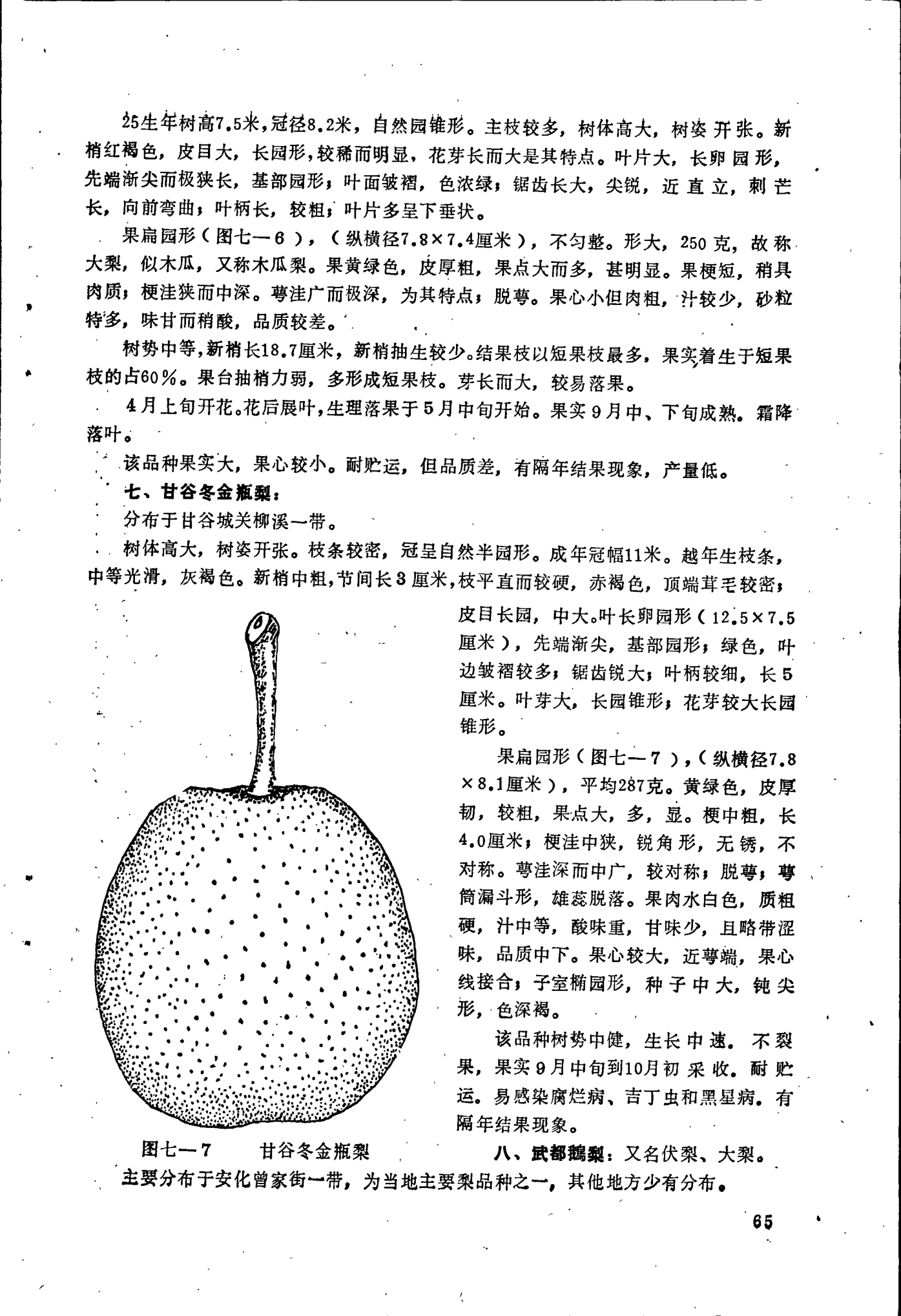 page_069.png