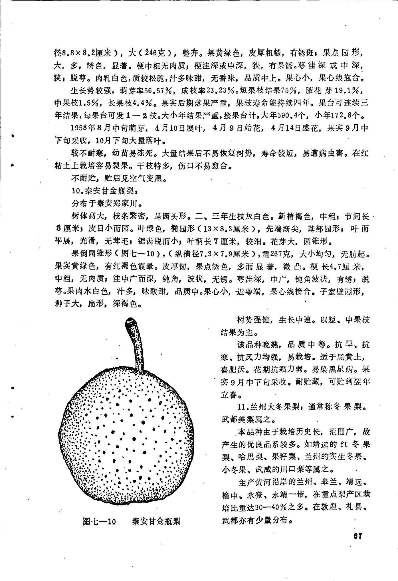 page_071.png