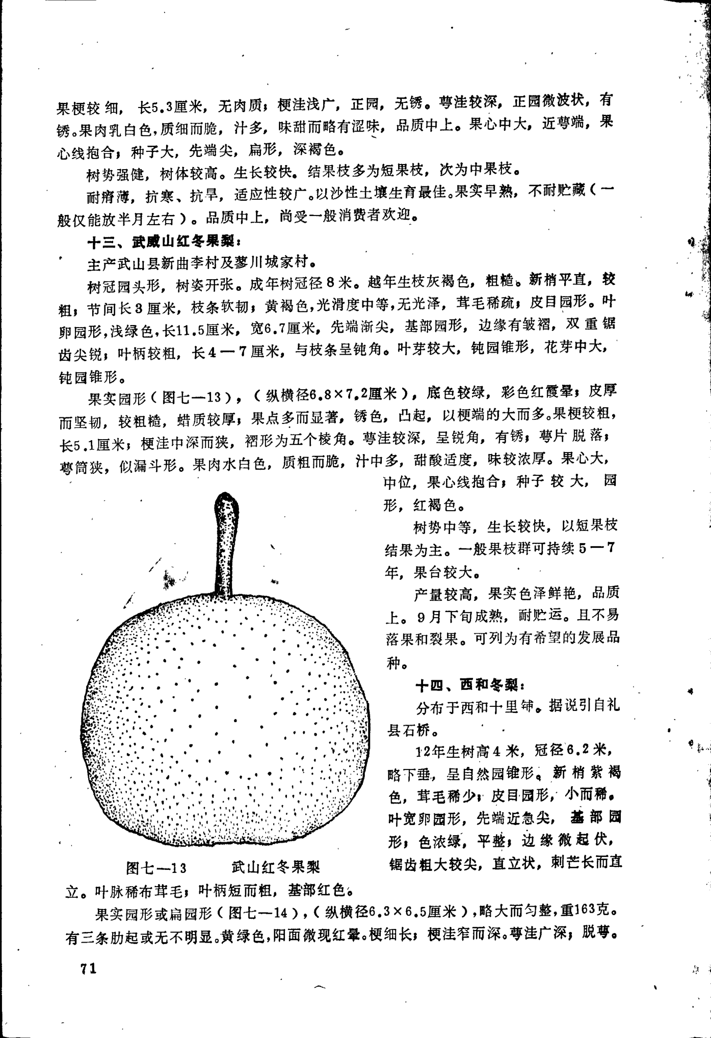 page_076.png