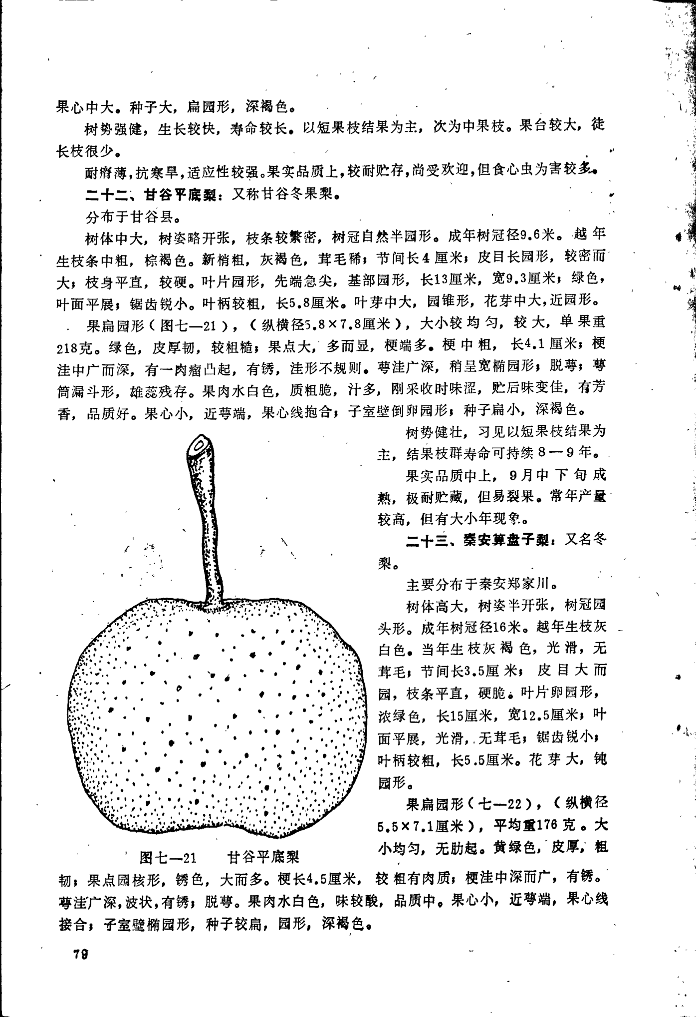 page_084.png