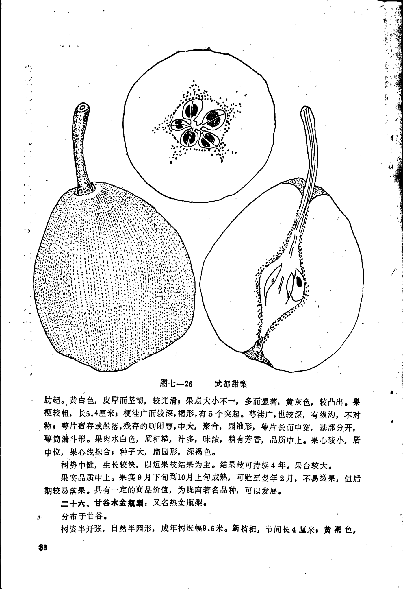 page_088.png