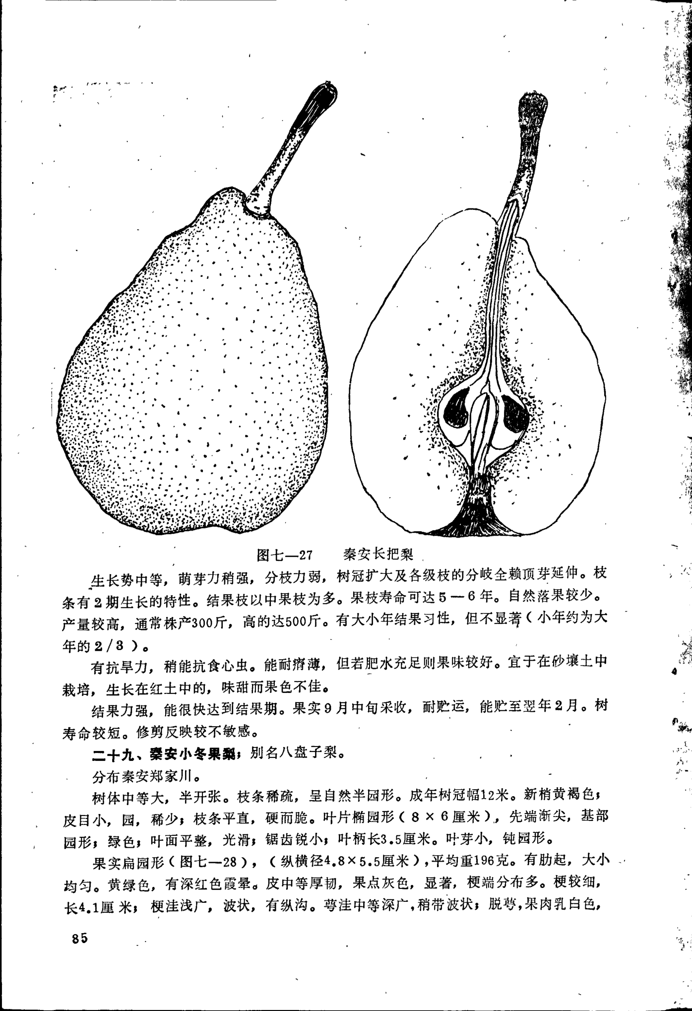 page_090.png