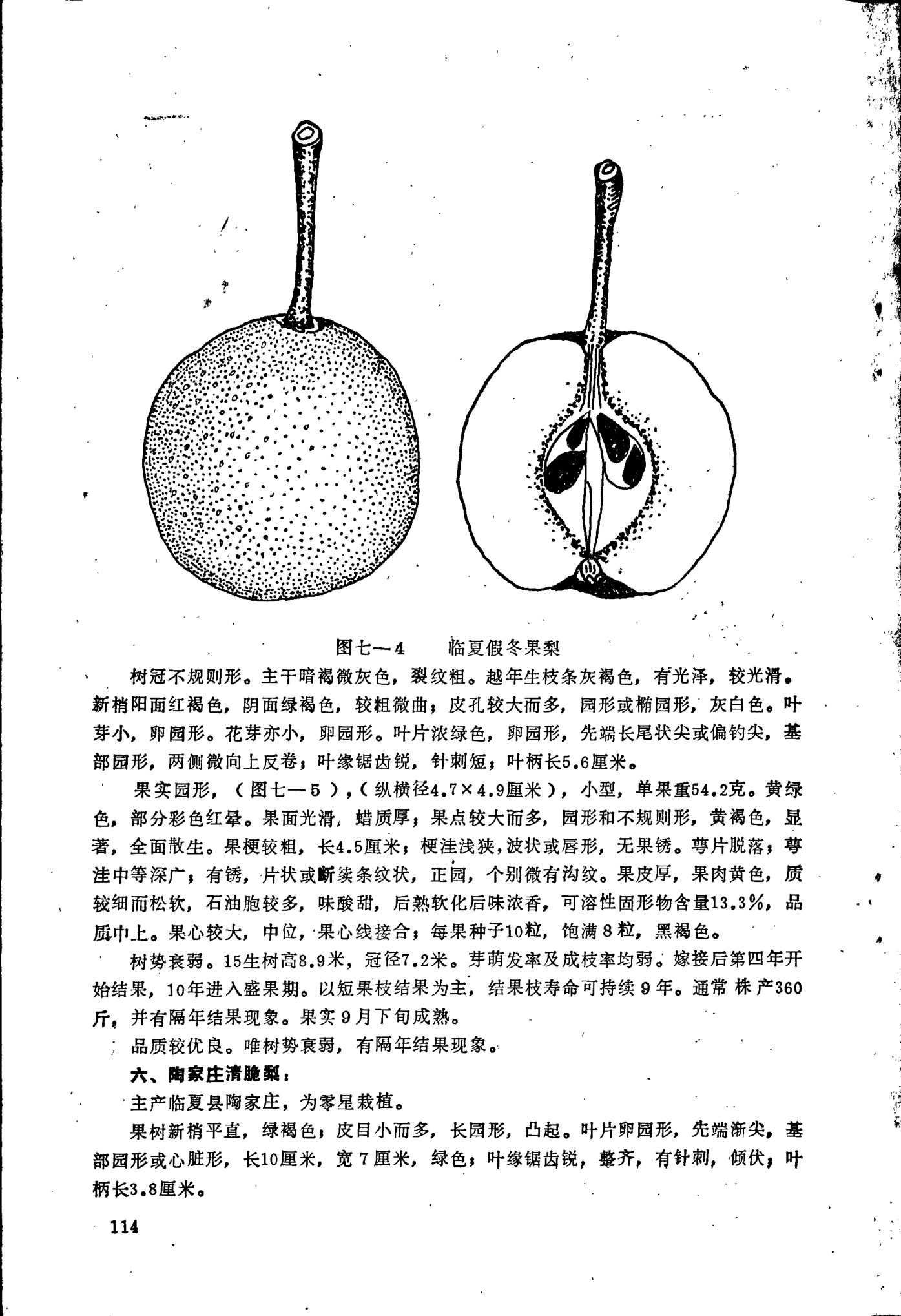 page_120.png