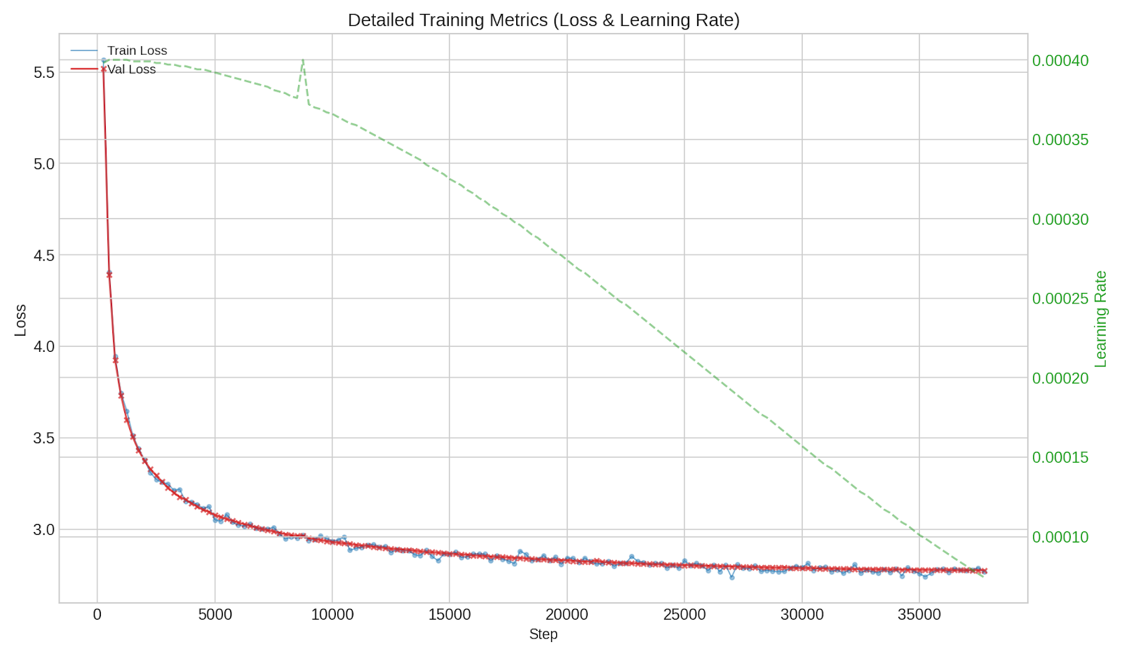 Training Progress