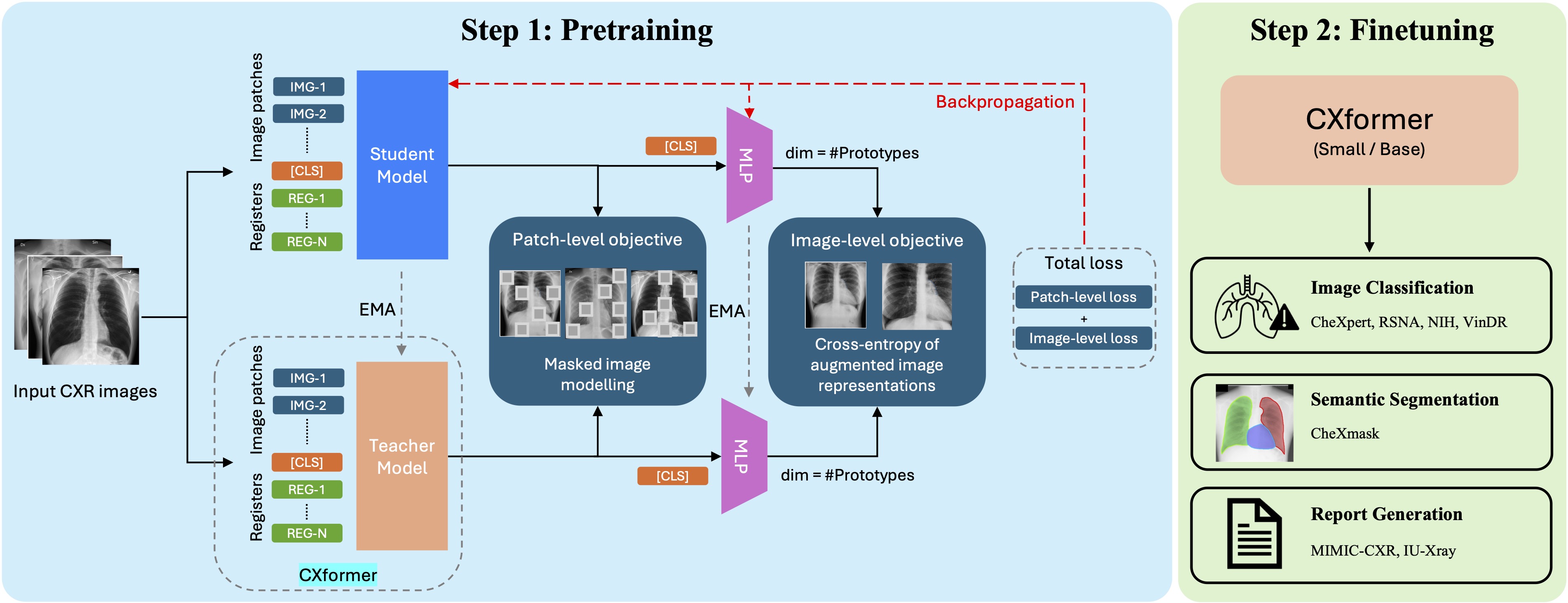 CXformer Architecture