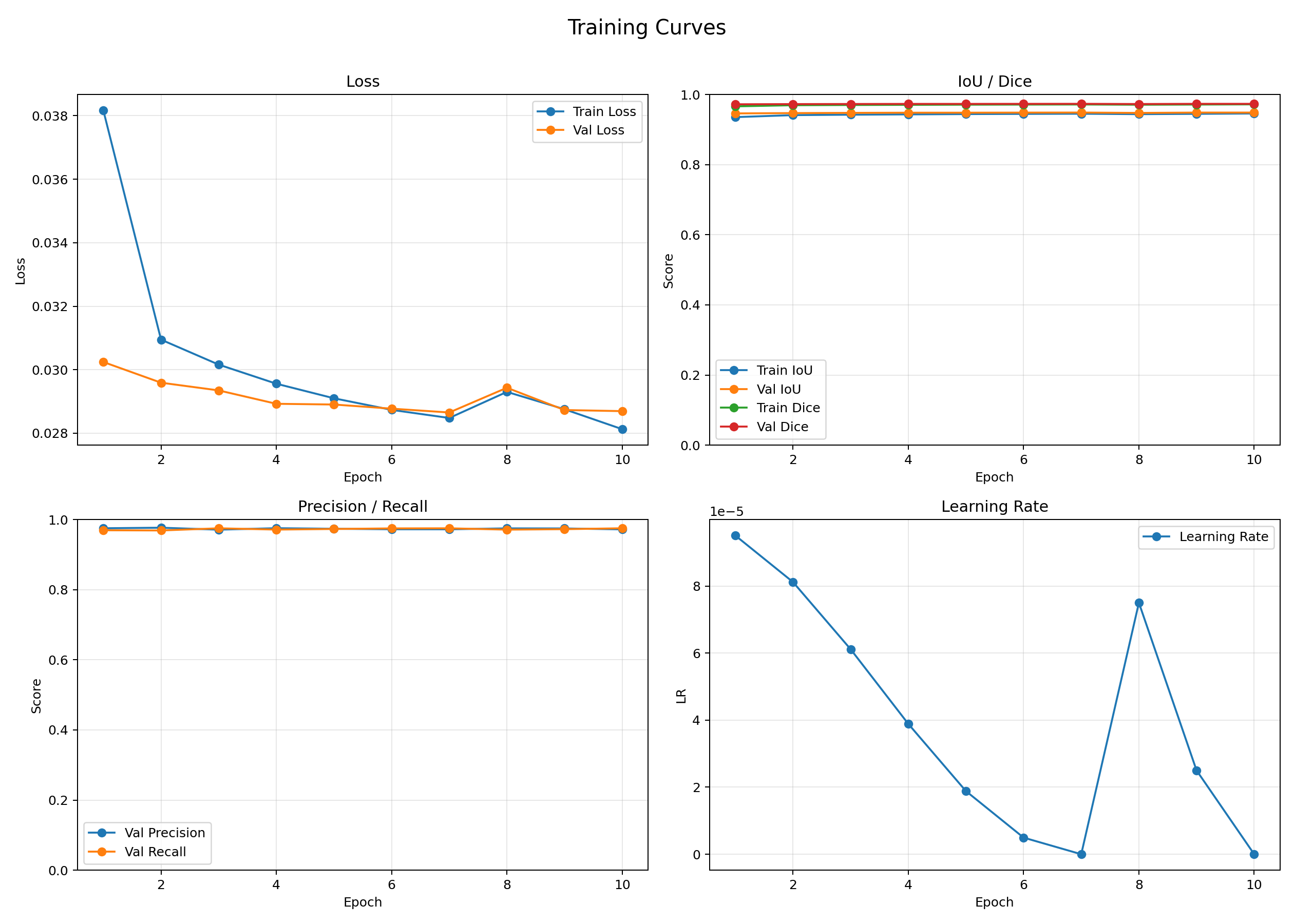 Training Curve